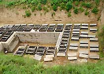 凤翔秦公一号大墓天气 凤翔秦公一号大墓天气