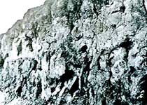 凤翔雍城遗址天气 凤翔雍城遗址天气