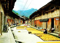 宁强青木川保护区·古镇天气 宁强青木川保护区·古镇天气