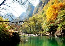 南郑黎坪森林公园天气 南郑黎坪森林公园天气