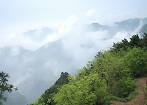 留坝天台山·哑姑山风景区天气 留坝天台山·哑姑山风景区天气