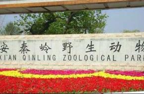 西安秦岭野生动物园天气 西安秦岭野生动物园天气