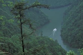 紫金白溪天气 紫金白溪天气
