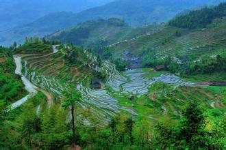 新化紫鹊界梯田国家级风景区天气 新化紫鹊界梯田国家级风景区天气