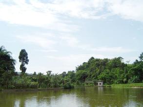 江津大圆洞国家森林公园天气