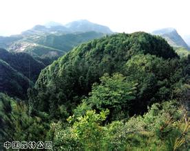 万州铁峰山国家森林公园天气 万州铁峰山国家森林公园天气