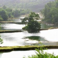 铜仁十里锦江天气