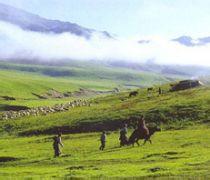 海西诺木洪遗址天气 海西诺木洪遗址天气