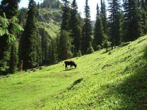 崆峒后峡景区天气 崆峒后峡景区天气