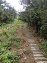 泰顺天关山天气 泰顺天关山天气