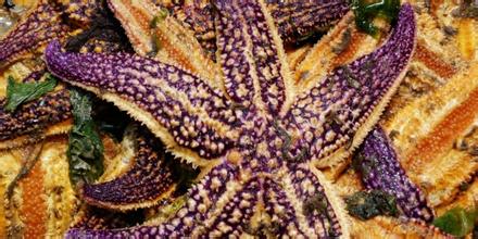 长岛庙岛天后宫天气 长岛庙岛天后宫天气