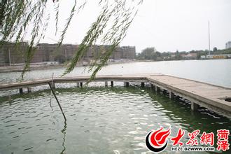 菏泽青年湖公园天气 菏泽青年湖公园天气