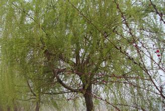 盱眙甘泉山天气 盱眙甘泉山天气