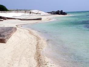 大丰东沙岛天气 大丰东沙岛天气