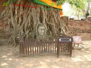 肥东大城头遗址天气 肥东大城头遗址天气