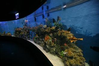 合肥汉海极地海洋世界天气 合肥汉海极地海洋世界天气