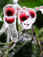 章贡峰山天气 章贡峰山天气