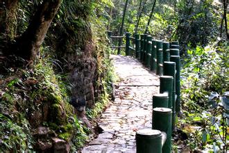 吉安五马朝天天气 吉安五马朝天天气