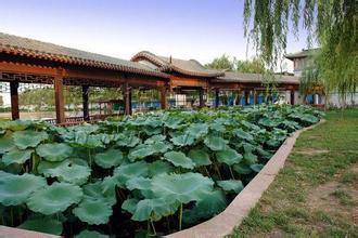 武安东山文化博艺园天气 武安东山文化博艺园天气